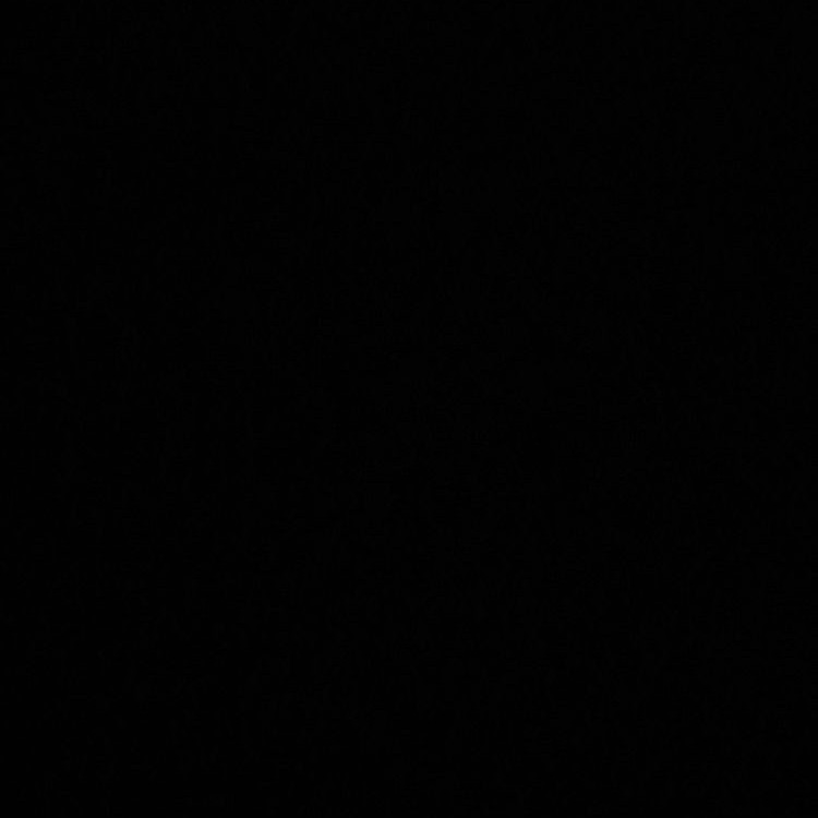 Foto Profil